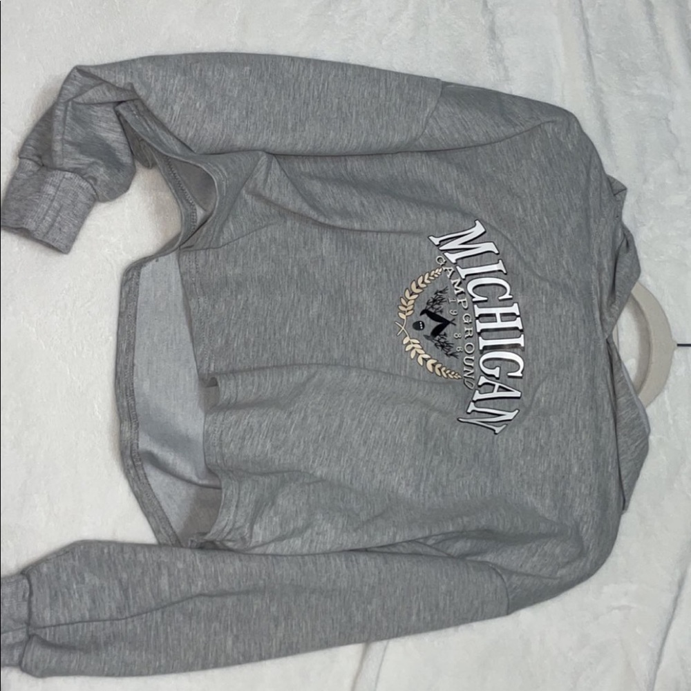 Cropped gray sweatshirt. Never worn.